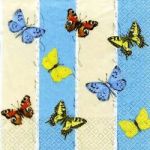 Butterflies blue-beige